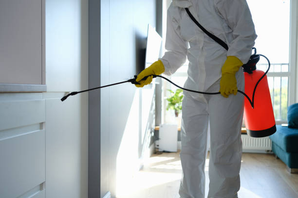 Best Home Mold Removal  in Messiah College, PA