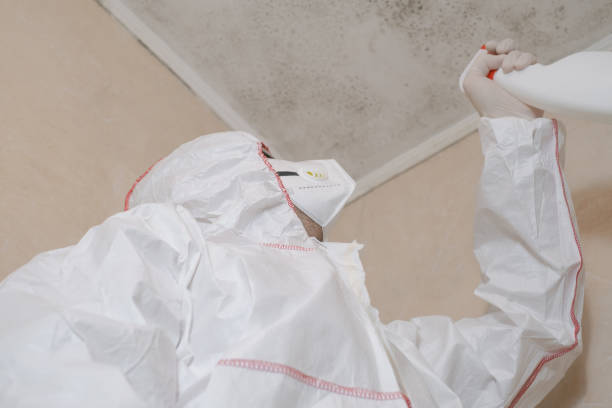 Best Best Mold Removal Companies  in Messiah College, PA